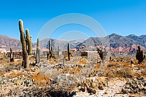 Colorful valley Humahuaca, central Andes Altiplano photo