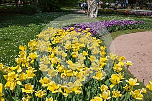 Colorful and variegated tulips flowers in the botanical garden of Villa Taranto in Pallanza, Verbania, Italy.