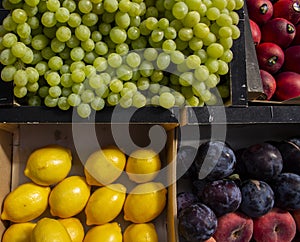 Colorful variety of fruits waxy green grapes, plums, lemons, peaches in cartons