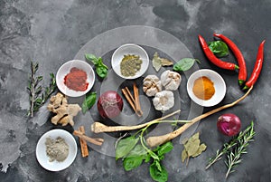 Colorful various of fresh, dried herbs and spices for cooking on a dark background