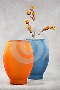 Colorful vases and flowers