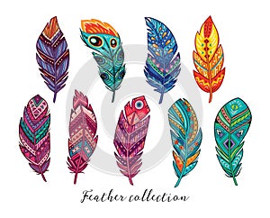 Colorful vector feathers set in ethnic style