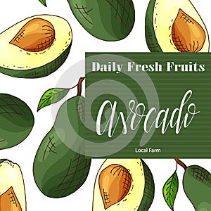 Colorful vector illustration. Food design with fruit. Hand drawn sketch of avocado. Organic fresh product for card or poster