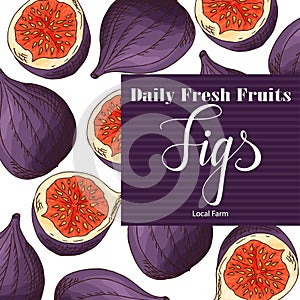 Colorful vector illustration. Food design with fruit. Hand drawn sketch of figs. Organic fresh product for card or poster design