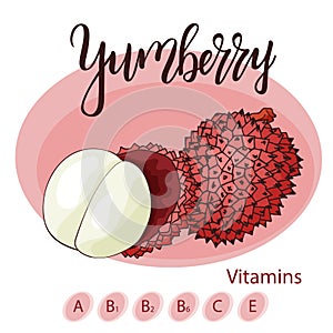 Colorful vector illustration. Food design with fruit. Hand drawn sketch of yumberry. Organic fresh product for card or