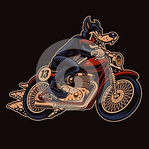 A colorful vector illustration of a wolf biker on a motorcycle