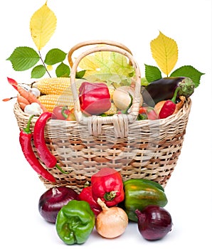 Colorful vegetables in basket