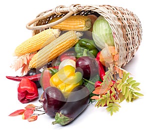 Colorful vegetables in basket