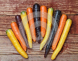 Colorful vegetables. Organic colored yellow, red, orange and purple carrots on a wooden Board