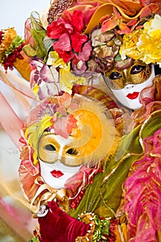 Colorful Venetian Costume