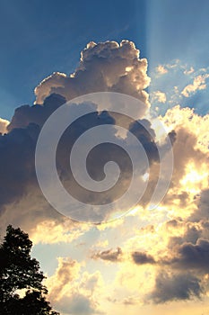 Colorful vibrant sky. Light from heaven. Picturesque view of sky with clouds. They are backlit by the sun. Blue sky background