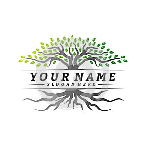 Colorful vibrant tree logo design concept vector. Root of Tree life logo design template inspiration. Icon Symbol