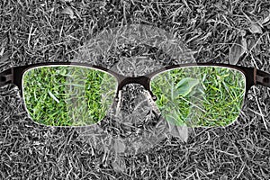 Colorful view of green grass focused in women`s glasses and monochrome background. View through eyeglasses. Better vision concept