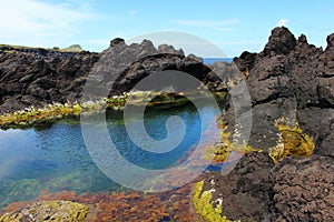 A Colorful Volcanic Tidal Pool photo