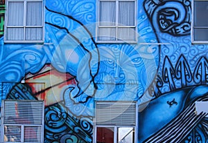 Colorful wall graffiti