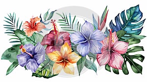 Colorful watercolor banner featuring a variety of tropical flowers and foliage, set against a white background