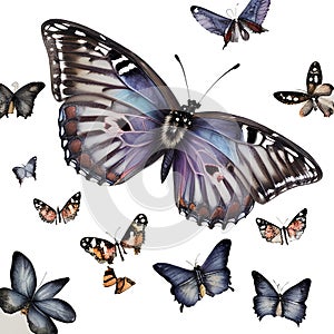 Colorful Watercolor Butterflies