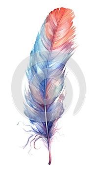 Colorful watercolor feather, isolated on white, rainbow colors