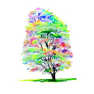 Colorful Watercolor Foliage Woodland Tree