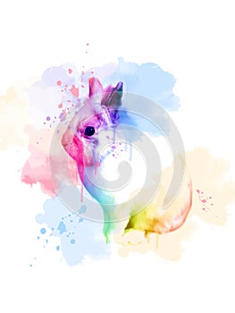 Colorful watercolor rabbit