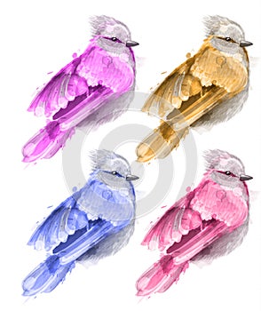 Colorful watercolor small bird Vector. beautiful illustration painted styles