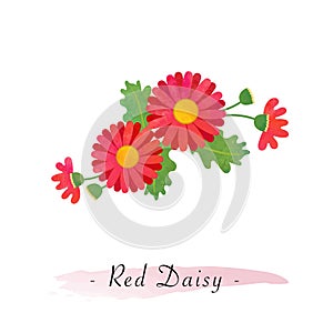 Colorful watercolor texture vector botanic garden flower asteraceae red daisy