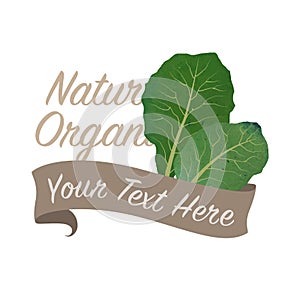 Colorful watercolor texture vector nature organic vegetable banner collards