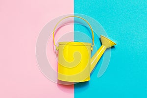 Colorful Watering Can on Colored Background. Flat Lay. Minimalistic Concept. Spring or Summer Concept.