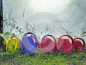 Colorful watering cans in the grassy garden