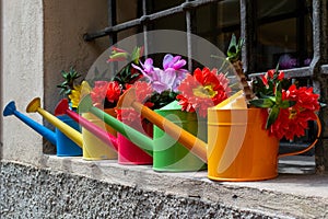 Colorful watering cans on the wall of an old house.