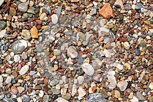 Colorful wet pebbles at the beach. Stone background image. Different color pebbles at the beach.