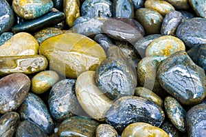 Colorful Wet Rocks