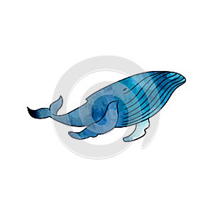 Colorful whale on a transparent background.