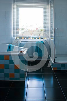 Colorful white bathroom with black floor