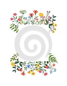 Colorful wildflower border with hand painted summer meadow flowers, leaves, isolated on white background.