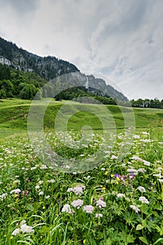 Colorful wildflower meadow and old hut in a mountain landscape with waterfall