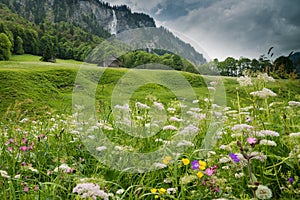 Colorful wildflower meadow and old hut in a mountain landscape with waterfall