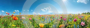 Colorful Wildflower Meadow Panorama Background - Scenic Blumenwiese Hintergrund photo