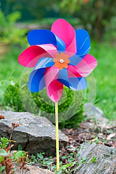 Colorful wind wheel in the garden