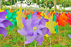 Colorful windmills sticked to the ground.