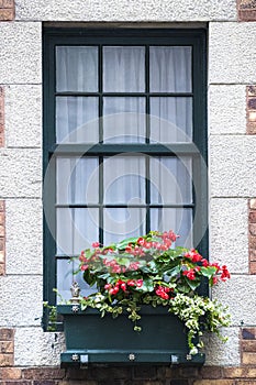 Colorful window with flowers