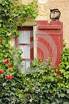 Colorful window surrounded by ivy. Chenonceaux. France