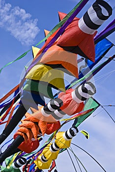 Colorful Windsocks