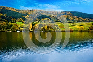 Colorful wine fields