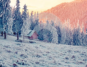 Colorful winter evening in the mountain farm.