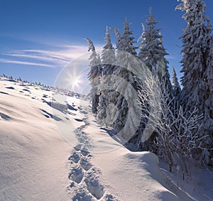 Colorful winter morning in mountais