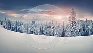 Colorful winter panorama of snowy mountains.