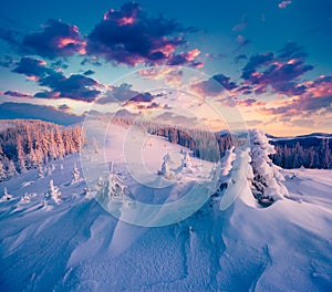 Colorful winter sunrise in the Carpathian mountains.