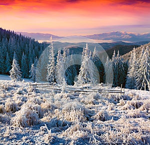 Colorful winter sunrise in the misty mountains