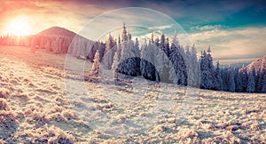 Colorful winter sunrise in the misty mountains